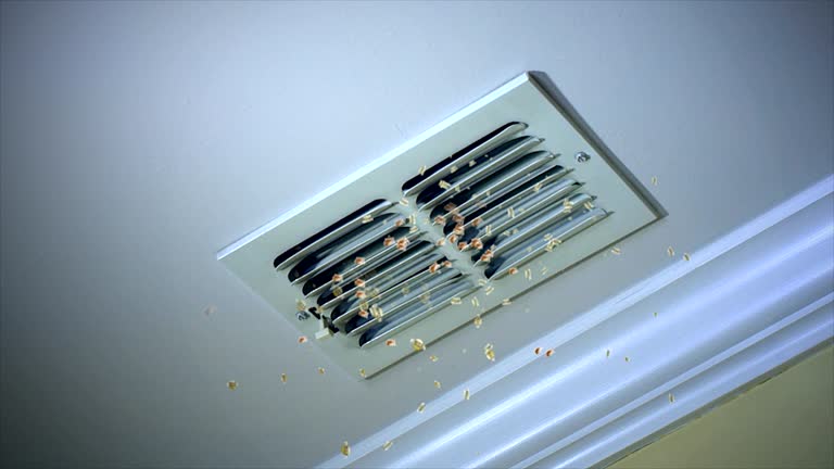 Best Best Air Duct Cleaning Company  in North Utica, IL