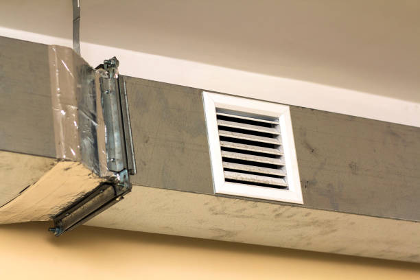Best Residential Air Duct Cleaning  in North Utica, IL